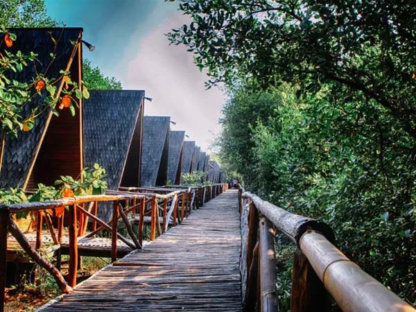 Mangrove Natural Park